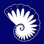 fossil blue logo1